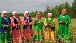 «Шифалы улэннэр»