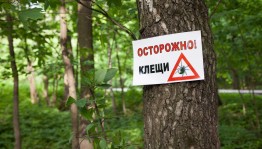 «Осторожно клещ!»