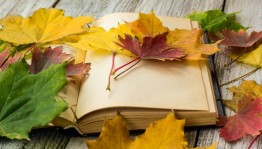 Выставка-настроение «Книжный листопад»