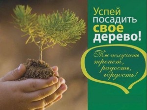 Экологическая акция«Посади дерево»