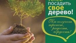 Экологическая акция«Посади дерево»