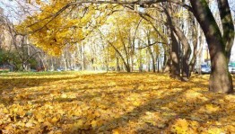 Конкурс рисунков «Осенние пейзажи»