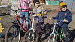 Экскурсия «Велопоход в родной лес»