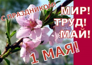 Развлекательная диско программа «День весны и труда»