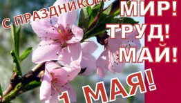 Развлекательная диско программа «День весны и труда»