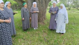 «Воронья каша»