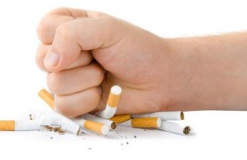 Беседа «Вред табакокурения»