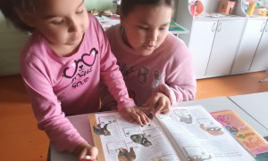 Информационный час «Красная книга»