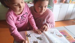 Информационный час «Красная книга»