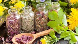 Беседа «Лекарственные травы - красота и польза».