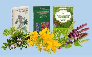 «Добрые советы для вашего здоровья»