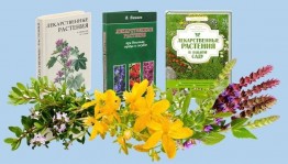 «Добрые советы для вашего здоровья»