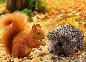 Экокалейдоскоп «Крылья, лапы и хвосты»