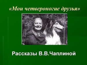 Литературный час «Мои четвероногие друзья»