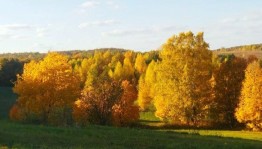 Танцевальный вечер «Осенняя фантазия»