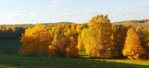 Танцевальный вечер «Осенняя фантазия»