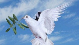 Мастер-класс «Белый голубь мира», посвящённый Дню солидарности в борьбе с терроризмом