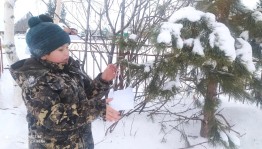 Экологическая акция «Делай добро»