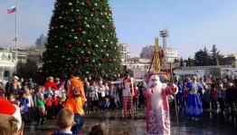 торжественное открытие елки