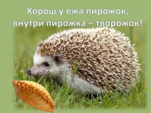 Игра «На дворе трава, на траве дрова»