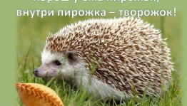 Игра «На дворе трава, на траве дрова»