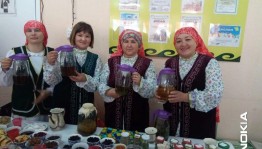 Познавательная программа«Польза трав»