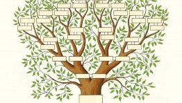 «Дерево жизни»