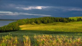 Экскурсия «Природа родного села»