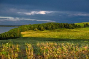Экскурсия «Природа родного села»