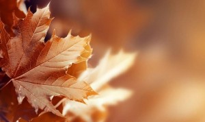 Концерт русских народных инструментов «Осенний букет»