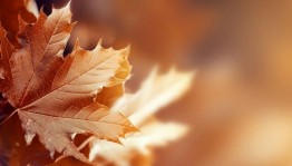 Концерт русских народных инструментов «Осенний букет»