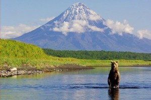 Книжная выставка «Заповедники России»