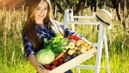 «Стильный огородник»