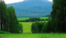 Познавательный час «Цвети мой Башкортостан»