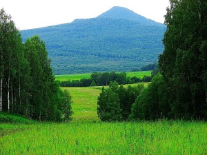 Познавательный час «Цвети мой Башкортостан»