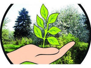 Экологический час «Берегите природу лесов»