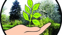 Экологический час «Берегите природу лесов»