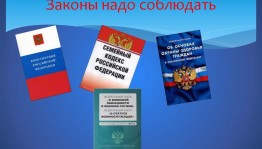 Познавательная программа «Не переступи закон»