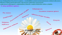 Книжная выставка « Мир без вредных привычек»