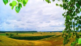 Библиопанорама «Люблю тебя, мой край родной!»