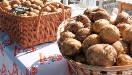 Ярмарка «Картошка – это вкусно»