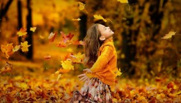 «Цветная вьюга листопада»