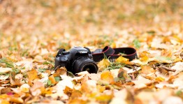 «Мой наставник» фотоконкурс