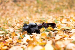 «Мой наставник» фотоконкурс