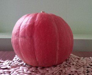 «Почему тыкву назвали тыквой?»