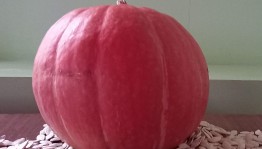 «Почему тыкву назвали тыквой?»