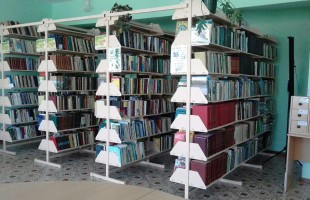 В  Дюртюлинском районе идут работы по созданию библиотеки нового поколения