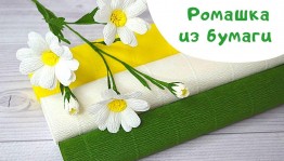 Мастер-класс «Ромашка цветок полевой»