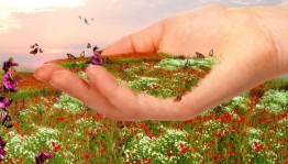 Флешмоб «Здесь душу исцеляю»