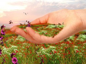 Флешмоб «Здесь душу исцеляю»